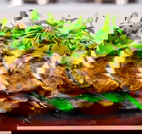 Allure On Currumbin - Accommodation Resorts