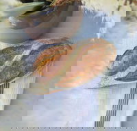 Pandesal Bakery - Accommodation Resorts