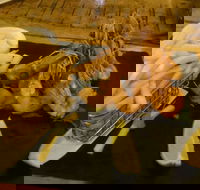 Jack and Shanan's - Accommodation Resorts