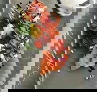 KALV  Co. Cafe and Wine Bar - Accommodation Resorts