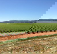 Melange Wines - Accommodation Resorts