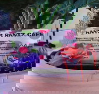 Antz Pantz Cafe - Accommodation Resorts