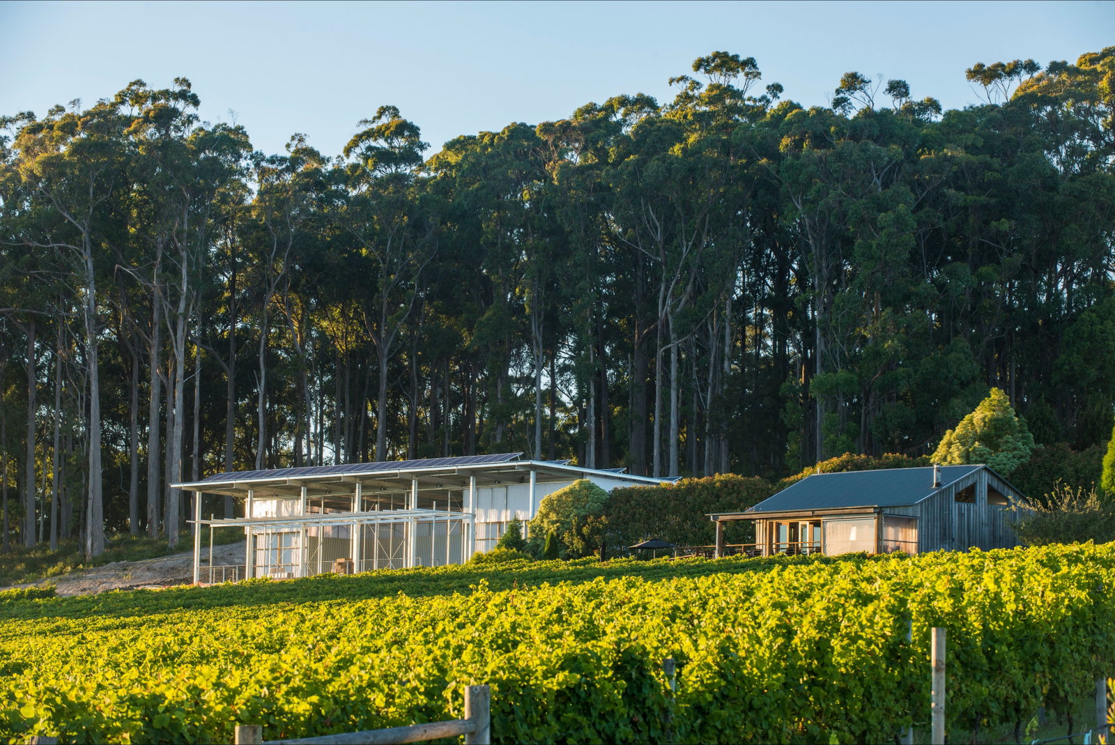 Sidmouth TAS Accommodation Resorts