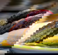 Griffith Exies Club - Accommodation Resorts