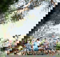 St Leonards Vineyard Caf - Accommodation Resorts