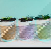 TeaPlus - Rhodes - Accommodation Resorts