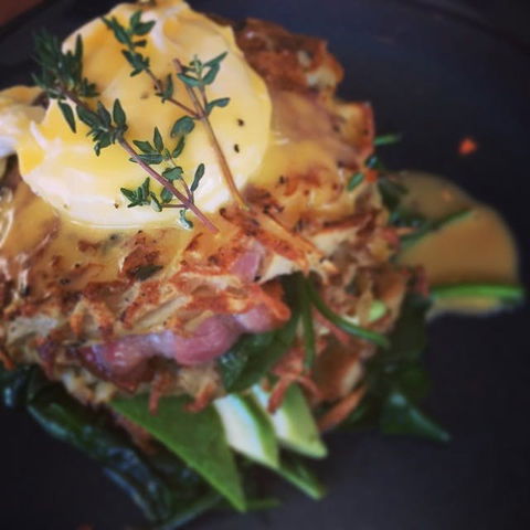 The Office On Harrogate - Accommodation Resorts 0