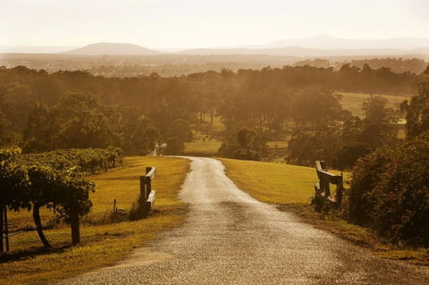 Petersons Wines - Accommodation Resorts 0