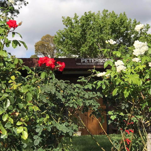Petersons Wines - Accommodation Resorts 1