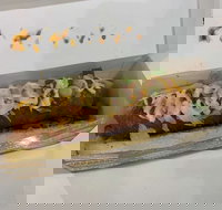 Top Dog in Town - Accommodation Resorts