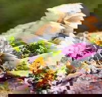 Australian Arid Lands Botanic Garden - Bluebush Cafe - Accommodation Resorts