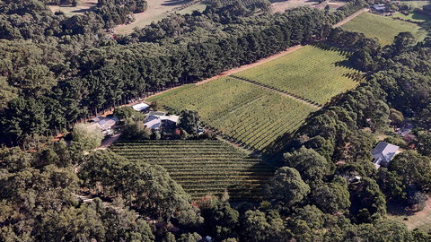 Main Ridge Estate - Accommodation Resorts 1