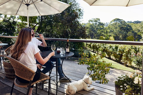 Main Ridge Estate - Accommodation Resorts 2