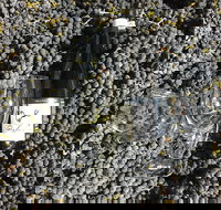 Tobin Wines - Accommodation Resorts