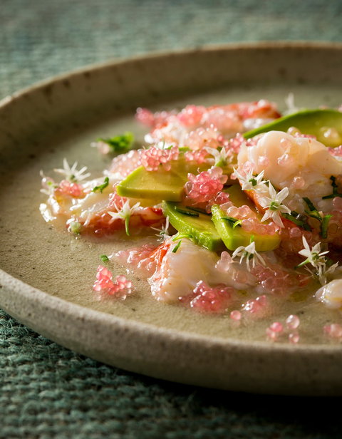 Foragers - Accommodation Resorts 0