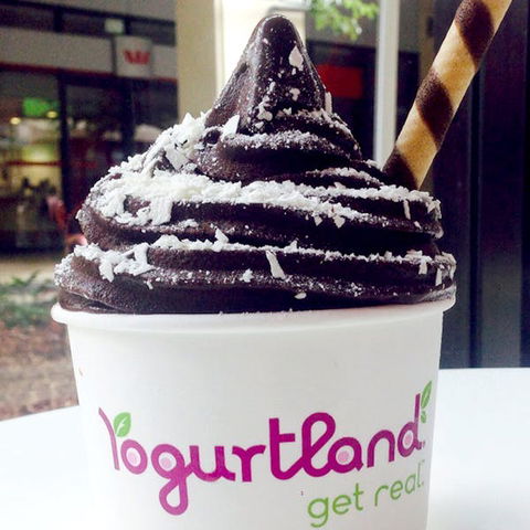 Yogurtland - Prairiewood - Accommodation Resorts 0