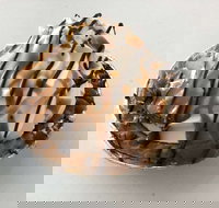 Oven Door Bakery Cafe Drover - Accommodation Resorts