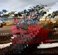 The Shiraz Republic - Accommodation Resorts