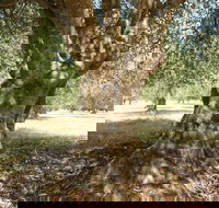 Lentara Grove - Accommodation Resorts