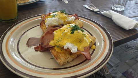 Dear Daisy - Accommodation Resorts 0