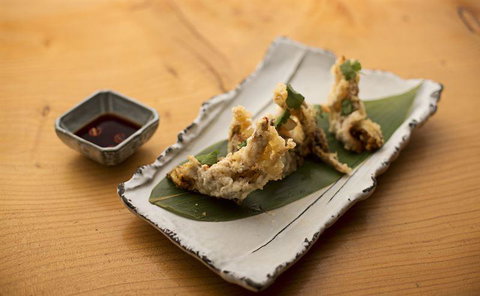 PJs Parramatta - Accommodation Resorts 14