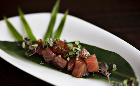 PJs Parramatta - Accommodation Resorts 16