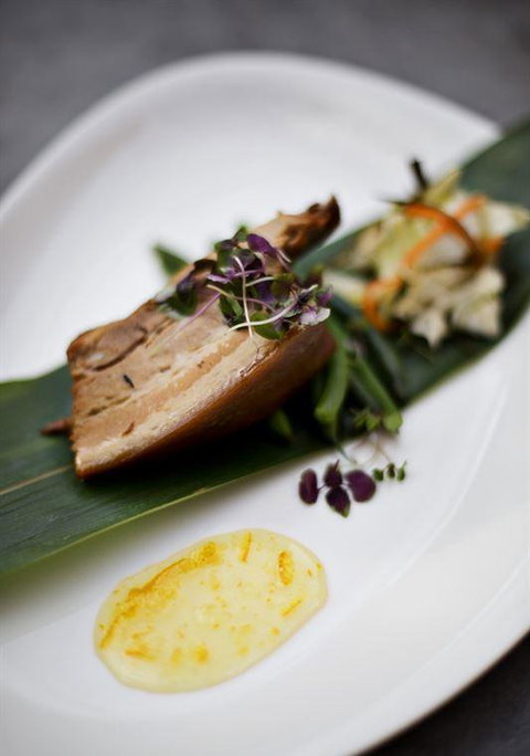 PJs Parramatta - Accommodation Resorts 18