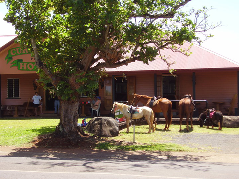 Currajah Hotel - Accommodation Resorts 1