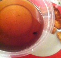 Labrador Chinese Restaurant - Accommodation Resorts