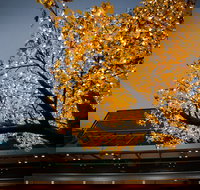 Tradies Helensburgh - Accommodation Resorts