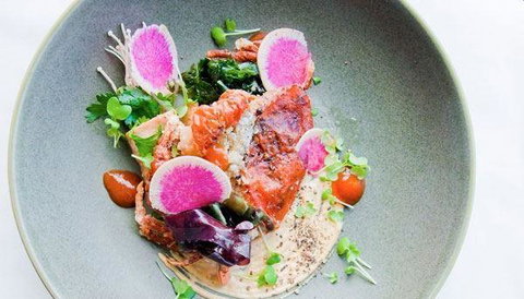 Esca Bimbadgen - Accommodation Resorts 1