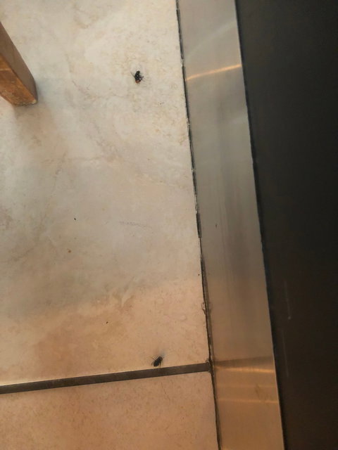 Wharf One Food & Wine - Accommodation Resorts 18