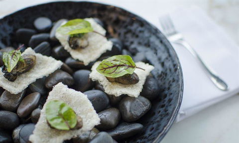 Taxi Kitchen - Accommodation Resorts 11