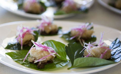 JAM - Accommodation Resorts 26