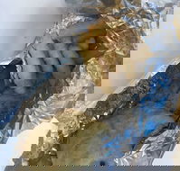 Seven Mile Beach Store - Accommodation Resorts