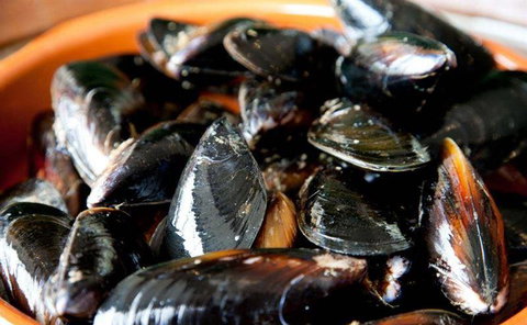 Palate - Accommodation Resorts 13