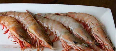 Palate - Accommodation Resorts 22