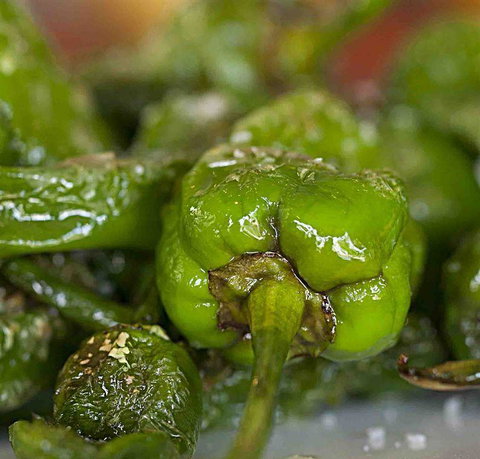 Palate - Accommodation Resorts 7