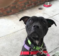 Raymond's Cafe - Accommodation Resorts