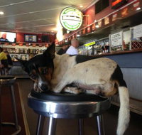 Dampier Mermaid - Accommodation Resorts