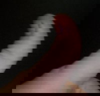 The Roast N Grill Cafe - Accommodation Resorts