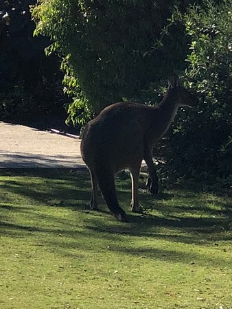 Preston Beach WA Accommodation Resorts