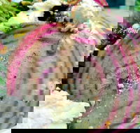 Thunderbird Kitchen - Accommodation Resorts