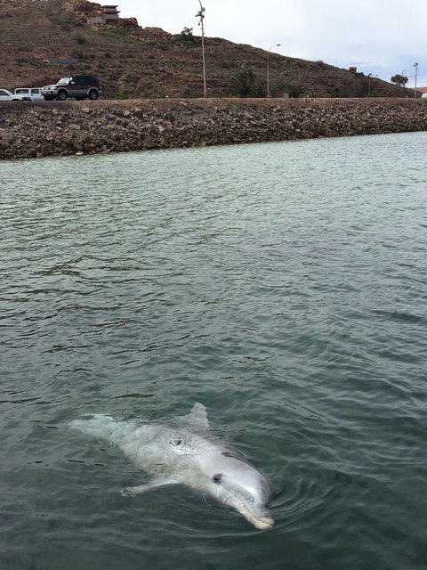 Whyalla Foreshore - Accommodation Resorts 1