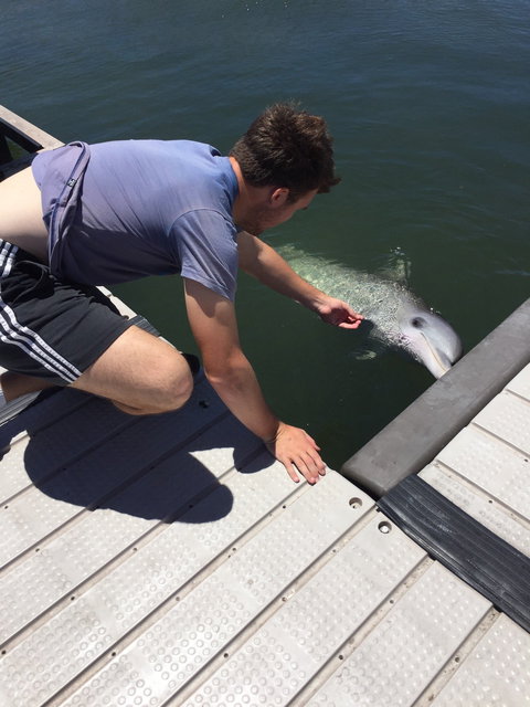 Whyalla Foreshore - Accommodation Resorts 2