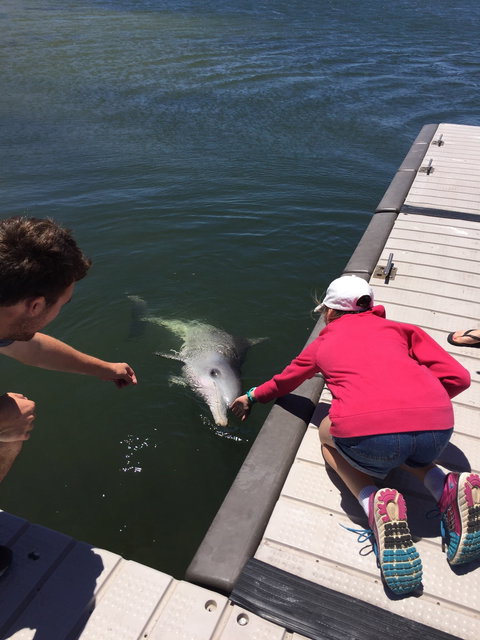 Whyalla Foreshore - Accommodation Resorts 3