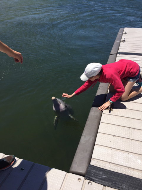 Whyalla Foreshore - Accommodation Resorts 4