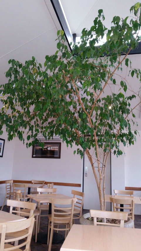 Lobethal Bakery - Accommodation Resorts 2