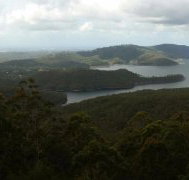 Lower Beechmont Kitchen - Accommodation Resorts