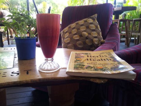 Healthy Harvest - Accommodation Resorts 0